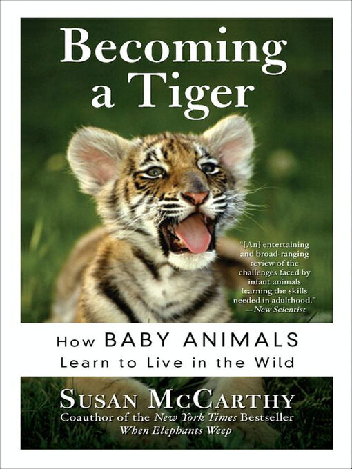 Title details for Becoming a Tiger by Susan McCarthy - Available